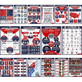 16 US Government History LARGE poster pack Charts for classrooms 12.5x18 Matt (Young N Refined)