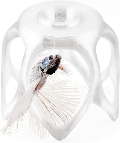 Betta Play Ground | Floating Hammock and Hiding Cave for Betta, Fish, Shrimp with Feeding Station – Swim-Through Aquarium Ornament and Tank Decoration (Clear White, Regular) in Saudi Arabia