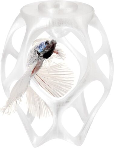 Betta Play Ground | Floating Hammock and Hiding Cave for Betta, Fish, Shrimp with Feeding Station – Swim-Through Aquarium Ornament and Tank Decoration (Clear White, Regular) in Saudi Arabia