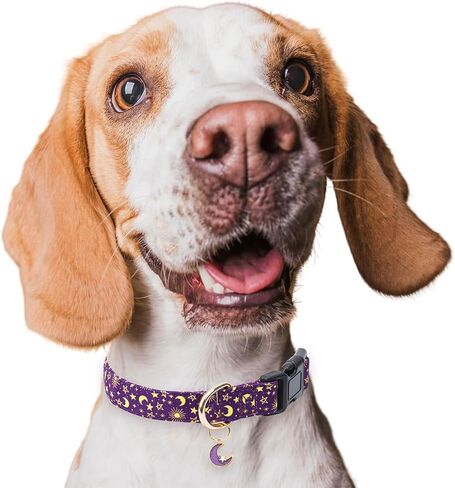 Cotton Dog Collar,Adjustable Cute Puppy Collar with Moon Patterned Design for Small Medium Large Dogs,Soft and Fancy Pet Collar with Safety Buckle for Girl Boy Dogs (Blue Whale, Medium) in Kuwait