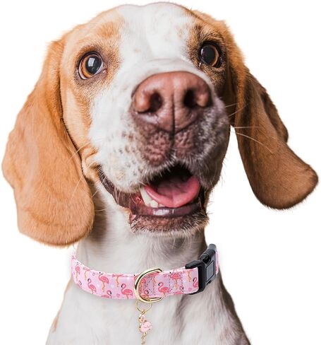 Cotton Dog Collar,Adjustable Cute Puppy Collar with Moon Patterned Design for Small Medium Large Dogs,Soft and Fancy Pet Collar with Safety Buckle for Girl Boy Dogs (Blue Whale, Medium) in Kuwait