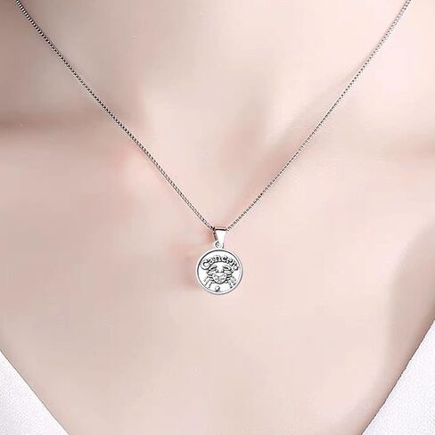 Round Zodiac Sign Charms,Twelve Constellations Charms Alloy Zodiac Charm Pendants Double Sided Charms Beads for Jewelry DIY Earrings Bracelets Crafts Making in Kuwait