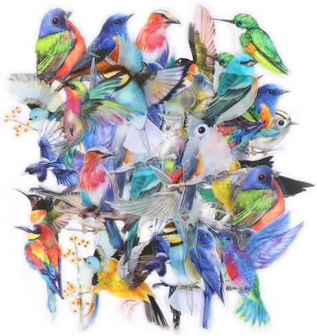 غريفوسيا 40 PCS ملصقات الطيور ، ملصقات الحيوانات اللطيفة فينيل مقاوم للماء ملصقات الطائر الطنان للأظرف مجلة زجاجة ماء الزجاجة الخلوية. in Kuwait