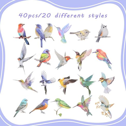 غريفوسيا 40 PCS ملصقات الطيور ، ملصقات الحيوانات اللطيفة فينيل مقاوم للماء ملصقات الطائر الطنان للأظرف مجلة زجاجة ماء الزجاجة الخلوية. in Kuwait