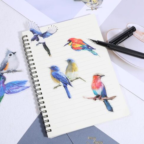 غريفوسيا 40 PCS ملصقات الطيور ، ملصقات الحيوانات اللطيفة فينيل مقاوم للماء ملصقات الطائر الطنان للأظرف مجلة زجاجة ماء الزجاجة الخلوية. in Kuwait