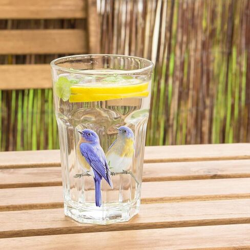 غريفوسيا 40 PCS ملصقات الطيور ، ملصقات الحيوانات اللطيفة فينيل مقاوم للماء ملصقات الطائر الطنان للأظرف مجلة زجاجة ماء الزجاجة الخلوية. in Kuwait