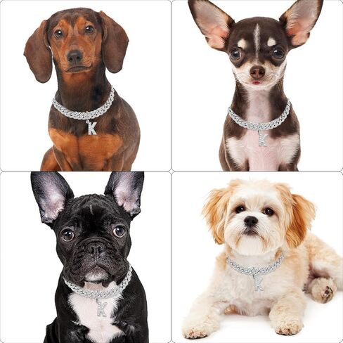 قلادة من طوق السلسلة القطط الذهبية مع قلادة الماس ك المعدنية كوبية رابط سلاسل الذهب الذهب الذهب قلادة قلادة قلادة للكلاب جرو القطط (10 بوصات) in Kuwait