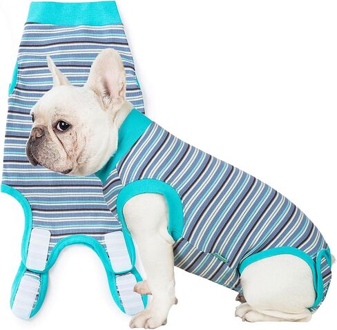 بدلة الانتعاش Sebdtico للكلاب ، بدلة جراحة الكلاب ، تعقيم الأنثى ، الكلب الناعم للجراحة الإناث ، الكلب مخروط مخروط البديل الانتعاش الإناث ، جروح البطن لعق مضاد للبدلة للكلاب in Saudi Arabia
