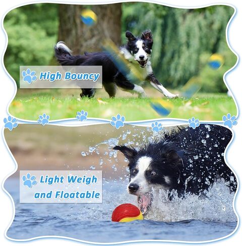 6Pcs Squeaky Dog Balls, Dog Toys Balls for Training, Tough Ball Toys for Dogs, Fit with Dog Ball Launcher, High Bouncy Dog Ball for Interactive Playing, Puppy Pet Chew Balls Teething Balls 2.5in in Kuwait
