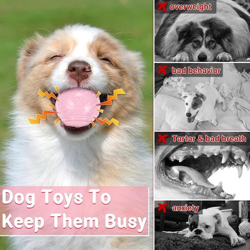 6Pcs Squeaky Dog Balls, Dog Toys Balls for Training, Tough Ball Toys for Dogs, Fit with Dog Ball Launcher, High Bouncy Dog Ball for Interactive Playing, Puppy Pet Chew Balls Teething Balls 2.5in in Kuwait