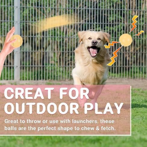 6Pcs Squeaky Dog Balls, Dog Toys Balls for Training, Tough Ball Toys for Dogs, Fit with Dog Ball Launcher, High Bouncy Dog Ball for Interactive Playing, Puppy Pet Chew Balls Teething Balls 2.5in in Kuwait