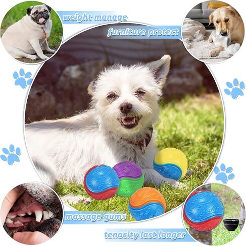 6Pcs Squeaky Dog Balls, Dog Toys Balls for Training, Tough Ball Toys for Dogs, Fit with Dog Ball Launcher, High Bouncy Dog Ball for Interactive Playing, Puppy Pet Chew Balls Teething Balls 2.5in in Kuwait