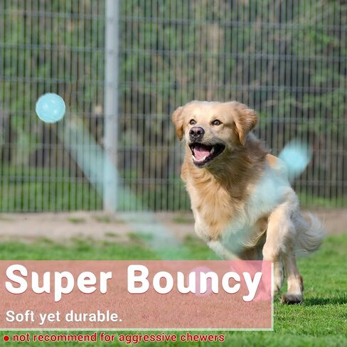 6Pcs Squeaky Dog Balls, Dog Toys Balls for Training, Tough Ball Toys for Dogs, Fit with Dog Ball Launcher, High Bouncy Dog Ball for Interactive Playing, Puppy Pet Chew Balls Teething Balls 2.5in in Kuwait