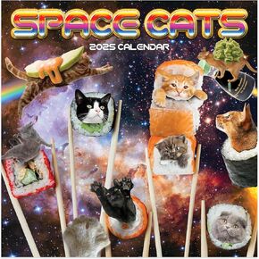TF Publishing 2025 Space Cats Wall Calendar - شبكات كبيرة للتعيينات والجدولة - تقويم الحائط الشهري العمودي 2025 - منظمة المنزل والمكاتب - ورقة لمعان قسط - 12 "x12"