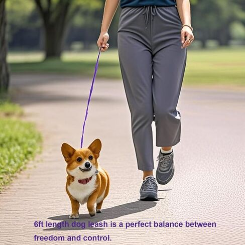 6 FT Durable Nylon Dog Leash - Strong Traditional Style, 5/8 Inch Width, with Easy to Use Metal Collar Hook - Ideal for Training and Walking Small, Medium and Large Dogs (Black) in Kuwait