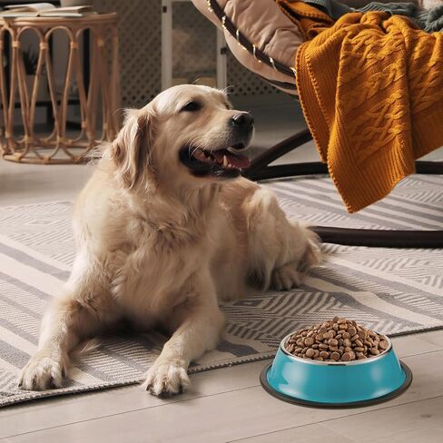 Roshtia 6 Pcs 18 oz Stainless Steel Dog Bowl with Anti Skid Silicone Base Stackable Water and Food Bowl Pet Puppy Dishes for Medium Large Dogs Cat, Colorful in Kuwait
