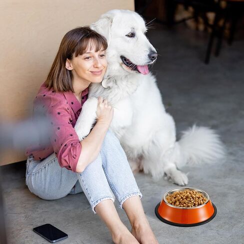 Roshtia 6 Pcs 18 oz Stainless Steel Dog Bowl with Anti Skid Silicone Base Stackable Water and Food Bowl Pet Puppy Dishes for Medium Large Dogs Cat, Colorful in Kuwait