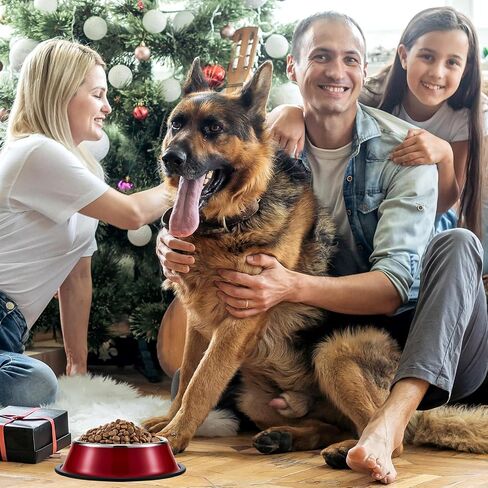 Roshtia 6 Pcs 18 oz Stainless Steel Dog Bowl with Anti Skid Silicone Base Stackable Water and Food Bowl Pet Puppy Dishes for Medium Large Dogs Cat, Colorful in Kuwait