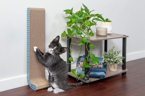 Furhaven 2-Pack Scratching Boards w/ Catnip & Wall-Mounting Hooks for Indoor Cats, Reversible - Wall-Mounted Corrugated Cat Scratchers - Gray/White Print, Standard/2-Pack in Kuwait