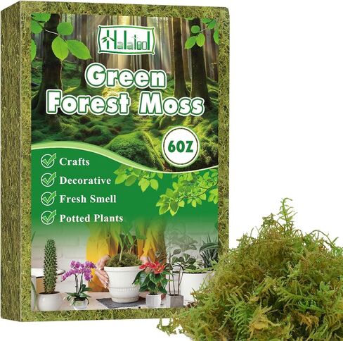 هالاتول 6 أوقية طحلب أخضر للنباتات المحفوظة بوعاء ، 8QT Moss Potting Mix ، طحالب الغابات للحرف الزخرفية ، طحالب النباتات الداخلية لإعادة صياغة Terrariums Garden in Kuwait
