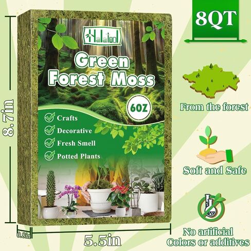 هالاتول 6 أوقية طحلب أخضر للنباتات المحفوظة بوعاء ، 8QT Moss Potting Mix ، طحالب الغابات للحرف الزخرفية ، طحالب النباتات الداخلية لإعادة صياغة Terrariums Garden in Kuwait