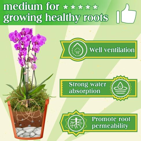 هالاتول 6 أوقية طحلب أخضر للنباتات المحفوظة بوعاء ، 8QT Moss Potting Mix ، طحالب الغابات للحرف الزخرفية ، طحالب النباتات الداخلية لإعادة صياغة Terrariums Garden in Kuwait