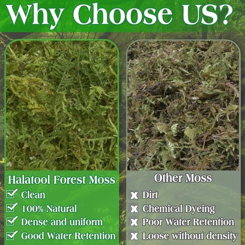 هالاتول 6 أوقية طحلب أخضر للنباتات المحفوظة بوعاء ، 8QT Moss Potting Mix ، طحالب الغابات للحرف الزخرفية ، طحالب النباتات الداخلية لإعادة صياغة Terrariums Garden in Kuwait