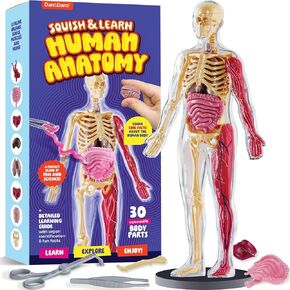 Human Anatomy Squishy Body Model - Science Kits for Kids Ages 4-8 - STEM Toys for 4 5 6 7 8 Year Old Boy Birthday Gift - Learning Educational Toys for Ages 5-7 Boys - Easter Gifts - Skeleton Parts