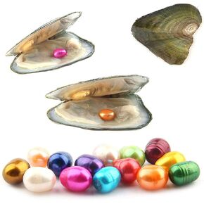 10PCS Freshwater Cultured Pearl Oyster with 7-8mm Oval Pearl(inside 10pcs Random Colors Pearls)