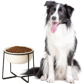 Elevated Ceramic Dog Food Bowl - Raised Dog Bowl with Non-Slip Metal Stand - Lifted Dog Dish - Small Dog Water Bowl - Dog Feeding Bowl - Ideal for Puppies and Cats - 1 Cup - 13.5 fl oz - Green
