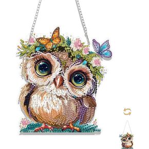 eiflow DIY معلق Art Art Kit Owl ، Acrylic Diamonds Painting Board Kit ، مجموعة زخرفة فنية للأحجار الكريمة 5D للبالغين ،