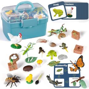 Life Cycle Learning Toys for Kids: Life Science Education Kits with Butterfly, Frog, Chicken, Mantis, Bee, Plants - 25 Pieces Animal Figurines Montessori Toys for Children Age 3 4 5 6 7 8+