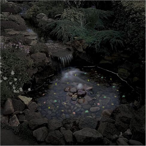 WishLotus Fish Tank Decorative Stones, 100 PCS Resin Colored Aquarium Glow Stone Pebbles, Smooth and Realistic Sea Life Shapes Aquarium Landscaping Stones for Decorating Fish Tanks and Vases (A) in Saudi Arabia