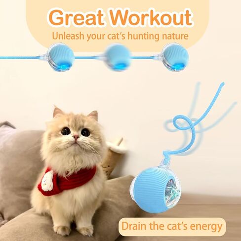 Cat Toys for Indoor Cats, Interactive Cat Ball Self Moving, Automatic Kitten Toy, Smart 360° Electric Rolling Dog Ball Toys USB Rechargeable Quiet Play for Bored Indoor Cats (Red) in Saudi Arabia
