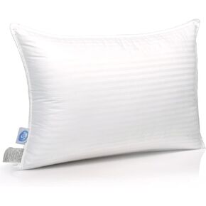 East Coast Bedding Cozy Dream Goose Feather and Down Pillows - RDS Certified, 100% Cotton Cover, Hotel Collection, Bed Sleeping, Medium Support