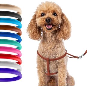 CollarDirect Rolled Leather Dog Harness Small Puppy Step-in Leash Set for Walking Pink Red White Blue Green Black Purple Beige Brown Yellow (Brown, S)