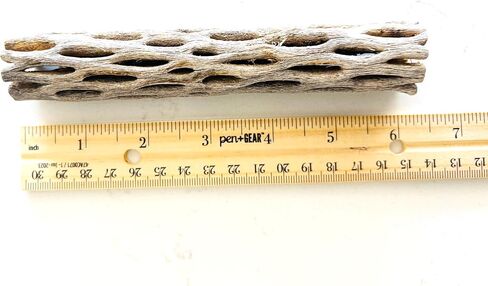 Natural Cholla Wood, Choya Air Plant, Untreated Beautiful Driftwood, Aquarium Decor, Betta Fish, Plecos, Shrimp, Minnows, Neon tetras, Cory Catfish, 6'' Long, 0.8 – 1'' Diameter, 5 – Pieces. in Saudi Arabia