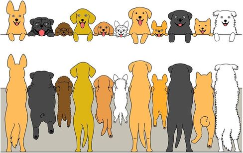 Cute Dogs Clear Clear Stamps لصنع البطاقات أو اليومية ، Retriever Golden Alaskan Malamute Bulldog المطاط in Kuwait