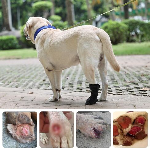 HDKUW Dog Wound Recovery Boot, Waterproof Dog Bootie for Injured Paw, Anti-Slip Dog Shoe Breathable Dog Paw Protector from Licking Wounds S in Kuwait