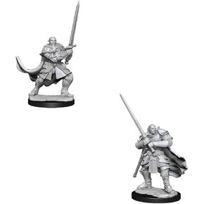 D&D Nolzur's Marvelous Miniatures: Half-Orc Paladin Male
