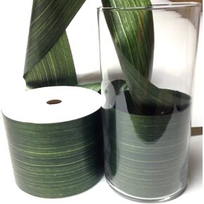 Aspid Ribbon Matte Moss Green. 4'' x 50 yards