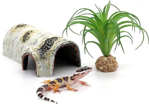 Reptile Hides and Caves Birch Tree Bark Trunk Habitats Decor Aquarium Decoration Wood for Lizard Geckos Snake Spiders Frogs Turtle (Small) in Kuwait