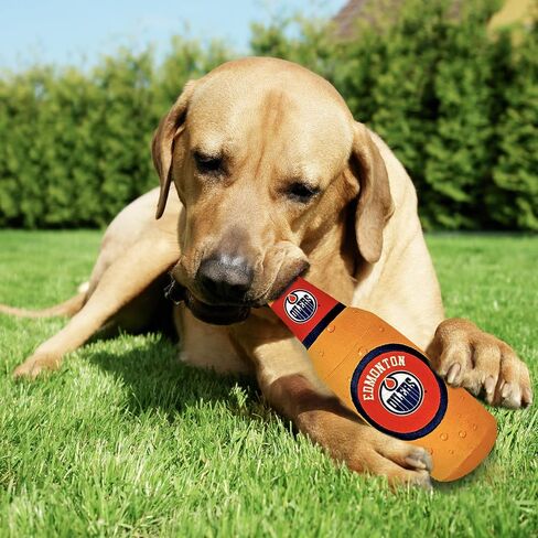 Pets First NHL New York Rangers HOT Dog Plush Dog & CAT Squeak Toy - Cutest HOT-Dog Snack Plush Toy for Dogs & Cats with Inner Squeaker & Beautiful Hockey Team Name/Logo 8 x 5 x 3 Inches in Kuwait