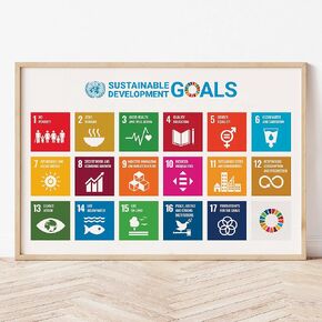 Kiowin Sustainable Development Goals Poster, UN SDGs Poster, 17 Goals Chart Wall Art Print, 17 Goals of United Nations Global Goals Poster for Office School Classroom Decoration - 16x24 (Unframed)