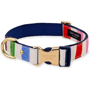 kate spade new york Cute Dog Collar with Gold Metal Details & Plastic Buckle, 10.5" to 13.5" Adjustable Dog Collar for Female or Male Dogs, Small to Medium Dogs (Adventure Stripe)