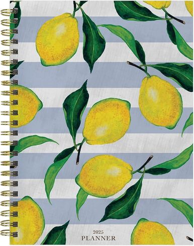 TF PUBLISHING 2025 Lemons of Capri Medium Weekly Monthly Planner - Habit & Task Trackers - 12 Month Calendar Planner Monthly and Weekly with Organizer Stickers - 6.5in x 8in in Saudi Arabia