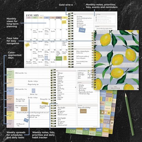TF PUBLISHING 2025 Lemons of Capri Medium Weekly Monthly Planner - Habit & Task Trackers - 12 Month Calendar Planner Monthly and Weekly with Organizer Stickers - 6.5in x 8in in Saudi Arabia