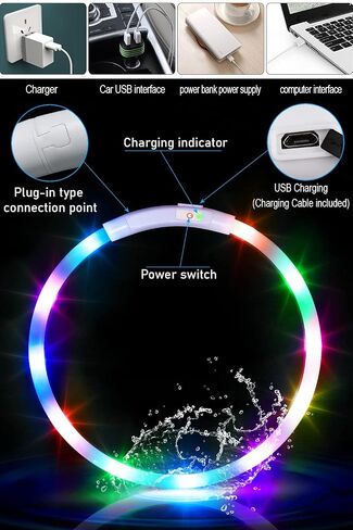 مقاوم للماء LED COD COD COD USB قابلية لإعادة شحن مصابيح الياقات الكلاب للمشي ليلا المشي مضاءة السلامة أدوات مساعدة للسلوك للكلاب الصغيرة إلى الكبيرة in Kuwait