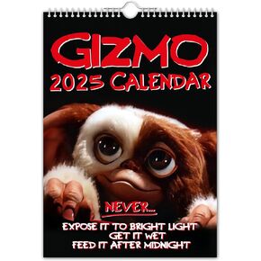 // Gizmo - 2025 Wall Calendar (Full Colour, A4 Size)
