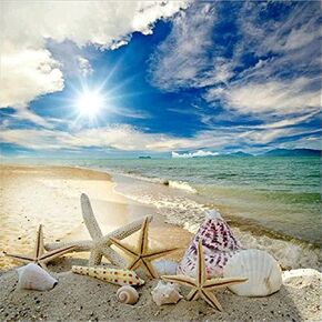 EXPGDC Seaside Beach Diamond Painting Kits for Adults,Starfish Seashell Diamond Painting Kits Ocean Theme, Beach Landscape Diamond Art,Ocean Diamond Art Perfect for Home Wall Decor(14x14in), white